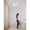 Przysufitowy plafon PAVIA AZ2633 Azzardo LED 25W 3000K biały