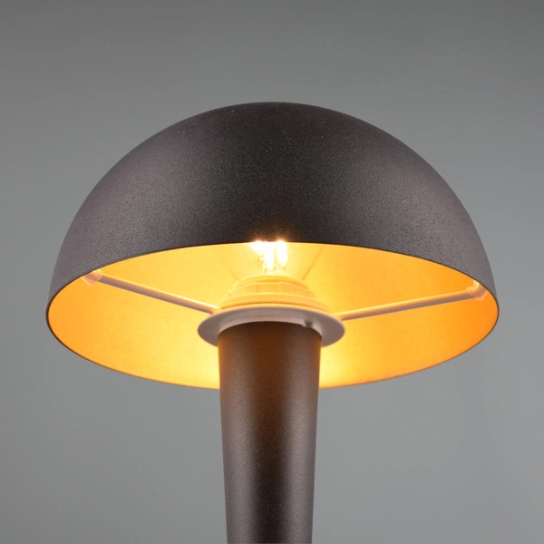 Nocna lampa do sypialni Canaria R59561180 RL Light grzyb czarna