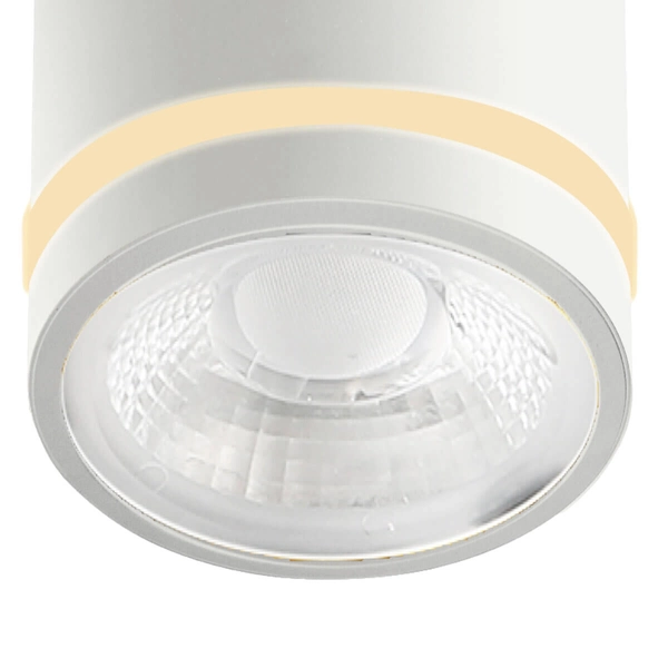 Łazienkowa lampa sufitowa VICI AZ6040 LED 12W 3000-6000K IP44 tuba biały