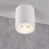 Natynkowa lampa do salonu FALCO 323644 sufitowa tuba biały