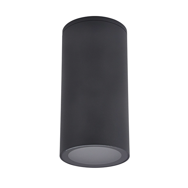 Sufitowa lampa ogrodowa Atlanta czarny downlight elewacyjny outdoor