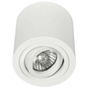 Spot LAMPA sufitowa Rullo Bianco Orlicki Design regulowana OPRAWA metalowa downlight tuba biała