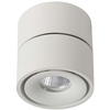Spot LAMPA sufitowa YUMIKO  35911/08/31 Lucide metalowa OPRAWA tuba LED 8W 2700K regulowana biała