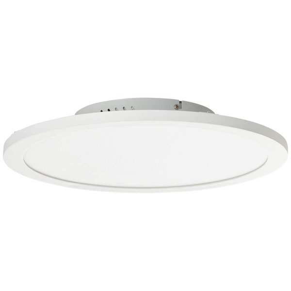 Ledowa lampa sufitowa Abie G97060/05 24W 2700-6200K+RGB pilot biały