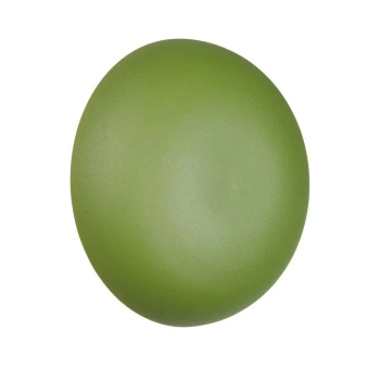 Okrągły kinkiet ścienny DAVEY R24431115 LED 1,5W 3000K zielony