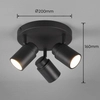 Sufitowa lampa potrójna BRISA DL332880430 IP44 tuby regulowane czarny