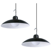 Zewnętrzny zwis z pilotem Saturn EKO9151 Ekolight LED 12W 4000K solar IP45 czarny
