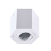 Downlight LAMPA sufitowa HEXAGON 313171 Polux metalowa OPRAWA sześciokątna regulowana biała