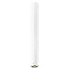 Sufitowa lampa tuba Loya C0461-01D-A0SB Zumaline do salonu spot biały