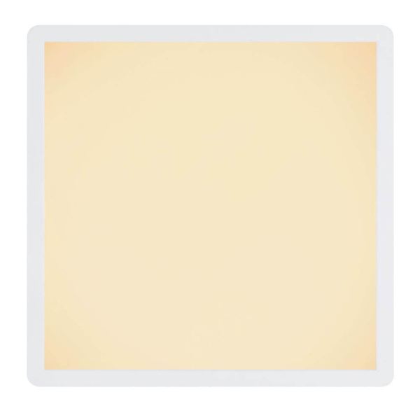 Przysufitowa lampa Sapana 41563- 18W LED 18W 3000K IP44 biała