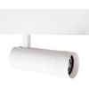 Reflektor magnetyczny do salonu Magnetic M0041N Maxlight LED 12W 3000K tubka biała