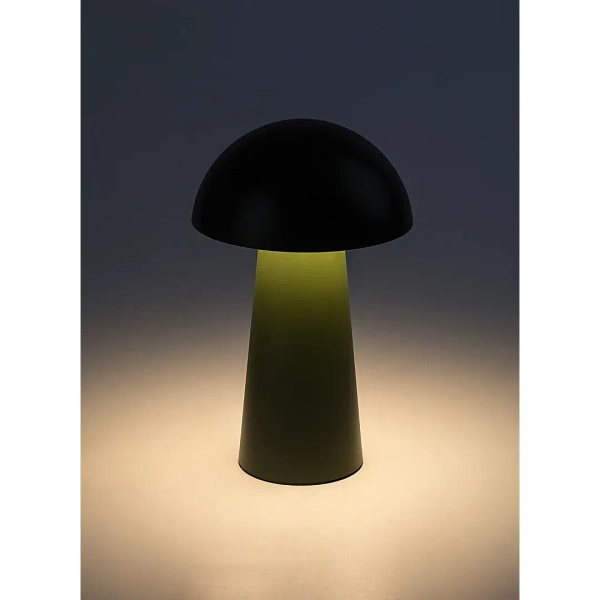 Akumulatorowa stołowa lampa Mireo 76038 LED 1,5W 3000K IP44 zielona