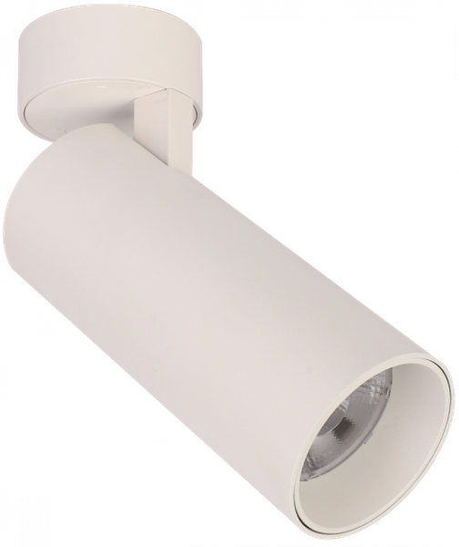 Punktowy reflektor Blaupunkt DRNW-12NW LED 12W 4000K biały
