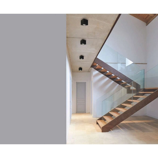 LAMPA sufitowa Cardi I Nero + Ufo Gold Orlicki Design metalowa OPRAWA downlight kostka czarna złota