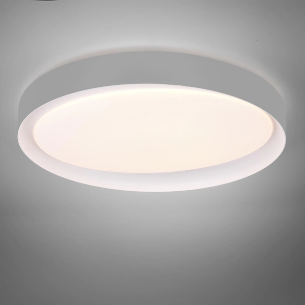 Sufitowa lampa Zeta R62712411 RL Light LED 24W 2700-6500K szara biała
