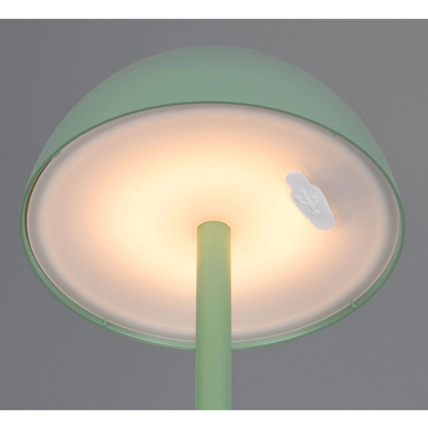 Stołowa lampka ogrodowa Ricardo R54106149 LED 2W 3000K IP54 zielona