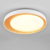 Plafon kuchenny Aleta R64611179 RL Light LED 24W 2700-6500K złoty biały