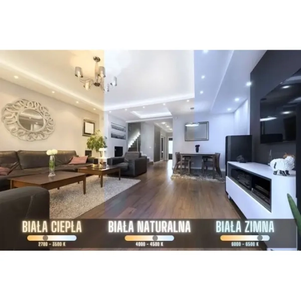 Okrągły kinkiet Księżyc ABIGALI-MOON LED 24W z pilotem plafon szary