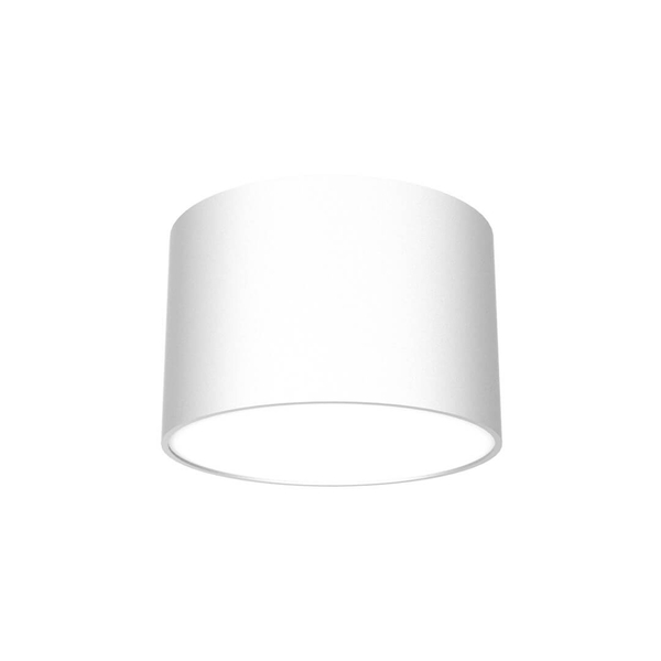 Pokojowa lampa sufitowa Dixie do przedpokoju loft biała