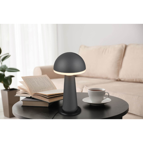 Zewnętrzna lampka stojąca Fungo R57716142 IP54 LED 2W 3000-5000K czarny