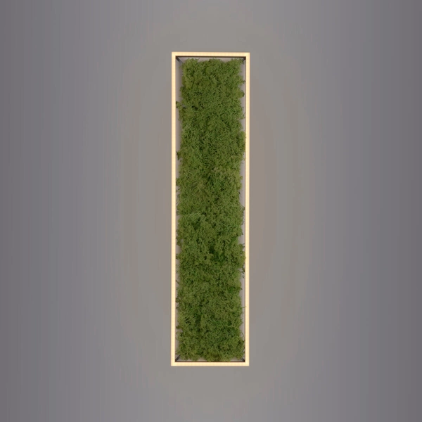 Dekoracyjny plafon GREEN KNUT 15623-66 LED 25W 3000K do jadalni zielony