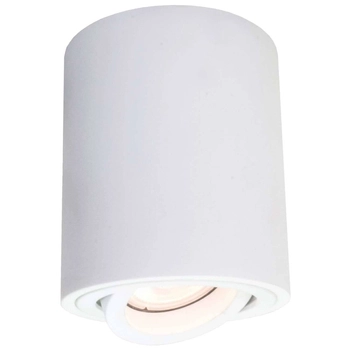 LAMPA sufitowa TULON LP-5441/1SM WH Light prestige metalowa OPRAWA tuba regulowany downlight biała
