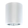 Natynkowa lampa sufitowa MERKURY 313560 downlight tuba biała