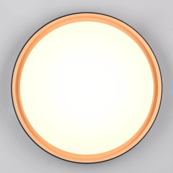 Okrągła lampa sufitowa Felis R64391080 LED 24W 2700-6500K czarny złoty