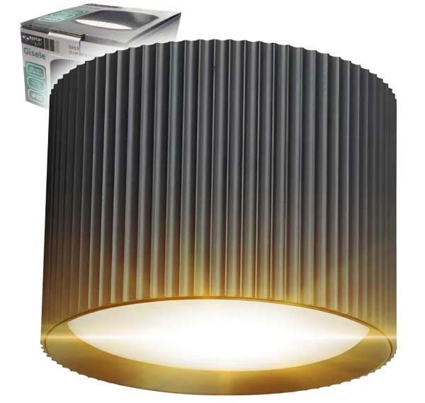 Metalowa lampa sufitowa GISELE CGGISELEBK tuba czarna