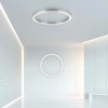 Owalny plafon PURE-LINES srebrny 6306-95 1xLED 42W 2700-5000K ring