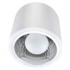 Natynkowa LAMPA stropowa JUPITER 13 307187 Polux downlight OPRAWA sufitowa TUBA metalowa biała