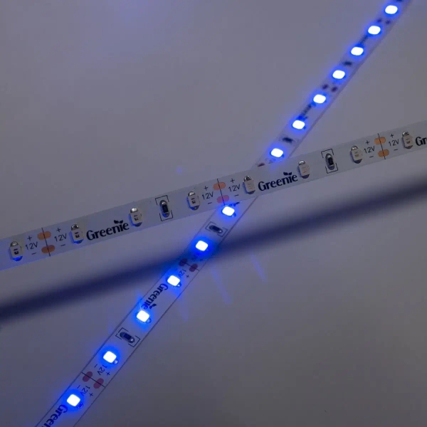 Ledowa taśma na rolce TL204GN Greenie LED 4,8W 5m zielona
