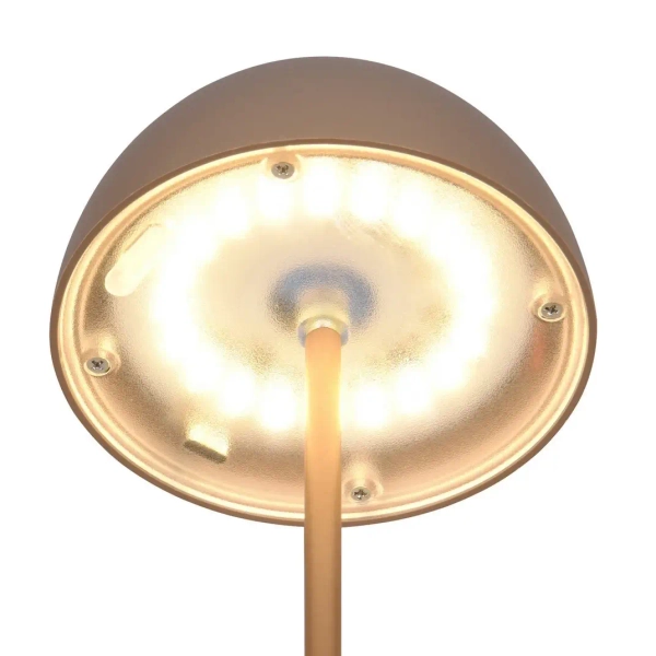 Nocna lampka ORTIZ R55601165 LED 2W 3000K IP44 przenośna grzyb kawowy