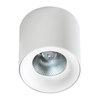 Pokojowa lampa sufitowa Mane biała tuba LED 10W nowoczesna