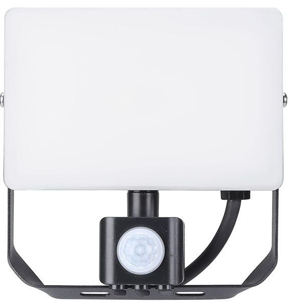 Naświetlacz zewnętrzny EKN9019 LED 30W 5000K regulowany czarny