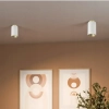 Sufitowa lampa spot CGSPOTLEDWHITEGOLD15 metalowa tuba biała złota