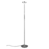 Lampa podłogowa ze ściemniaczem NEMIO DL107423310 LED 12W 2300-4000K srebrny