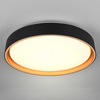 Okrągła lampa sufitowa Felis R64391080 LED 24W 2700-6500K czarny złoty