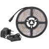 Elastyczna taśma LED 319258 Polux 35W 4000K neutralna 5m IP65 z zasilaczem włącznik