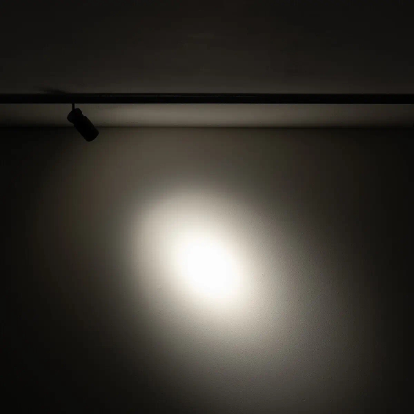 Sufitowa lampa 1-obwodowa 11713 LED 2W 3000K czarny