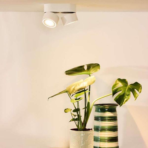 Spot LAMPA sufitowa YUMIKO  35911/16/31 Lucide metalowa OPRAWA tuba LED 16W 2700K regulowana biała
