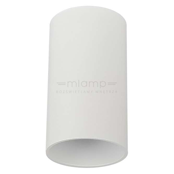 Spot LAMPA sufitowa DARIA ROUND 1W/W INQ okrągła OPRAWA natynkowa downlight tuba biała