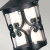 Lampa wisząca Hereford BL13B-BLACK Elstead na łańcuchu ogrodowa czarna