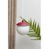 Lampa wisząca nad wyspę Kuul KLF141PS0 kulista IP44 bordowa biała