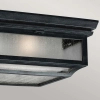 Zewnętrzna LAMPA sufitowa Shepherd FE-SHEPHERD-F Elstead FEISS kwadratowa OPRAWA szklana retro outdoor IP44 cynk przezroczysta