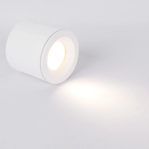 Łazienkowa lampa sufitowa LUNA CL0103-WH Yaskr IP65 hermetyczna biała