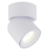 Spot sufitowa lampa punktowa Twist 10576 regulowana metalowa biały