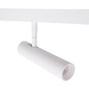 Reflektor do szyn magnetycznych Magnetic M0033Z Maxlight LED 8W 2700-5000K biały