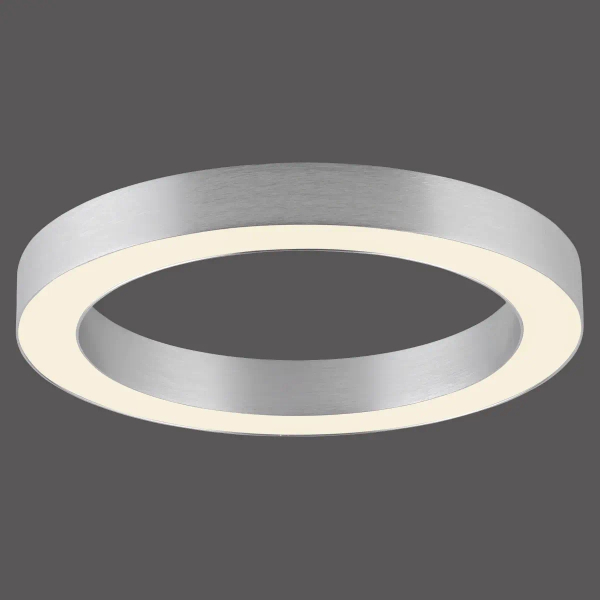 Plafon sterowany pilotem PURE-LINES srebrny 6310-95 1xLED 21W 2200-5500K owalny
