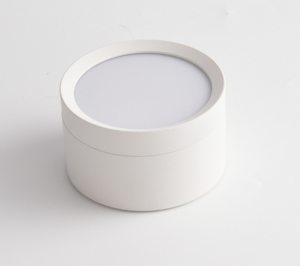 Plafon natynkowy Hoop C086CL-GX53-SRD-W LED 12W do salonu biały